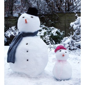 snowman15_1554883i