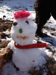 Jeanne Berman's snowman In the running for Most Creative.